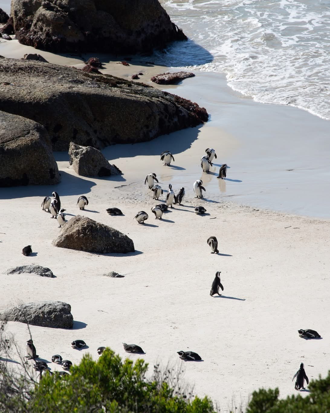 Tintswalo Boulders Boulders Beach