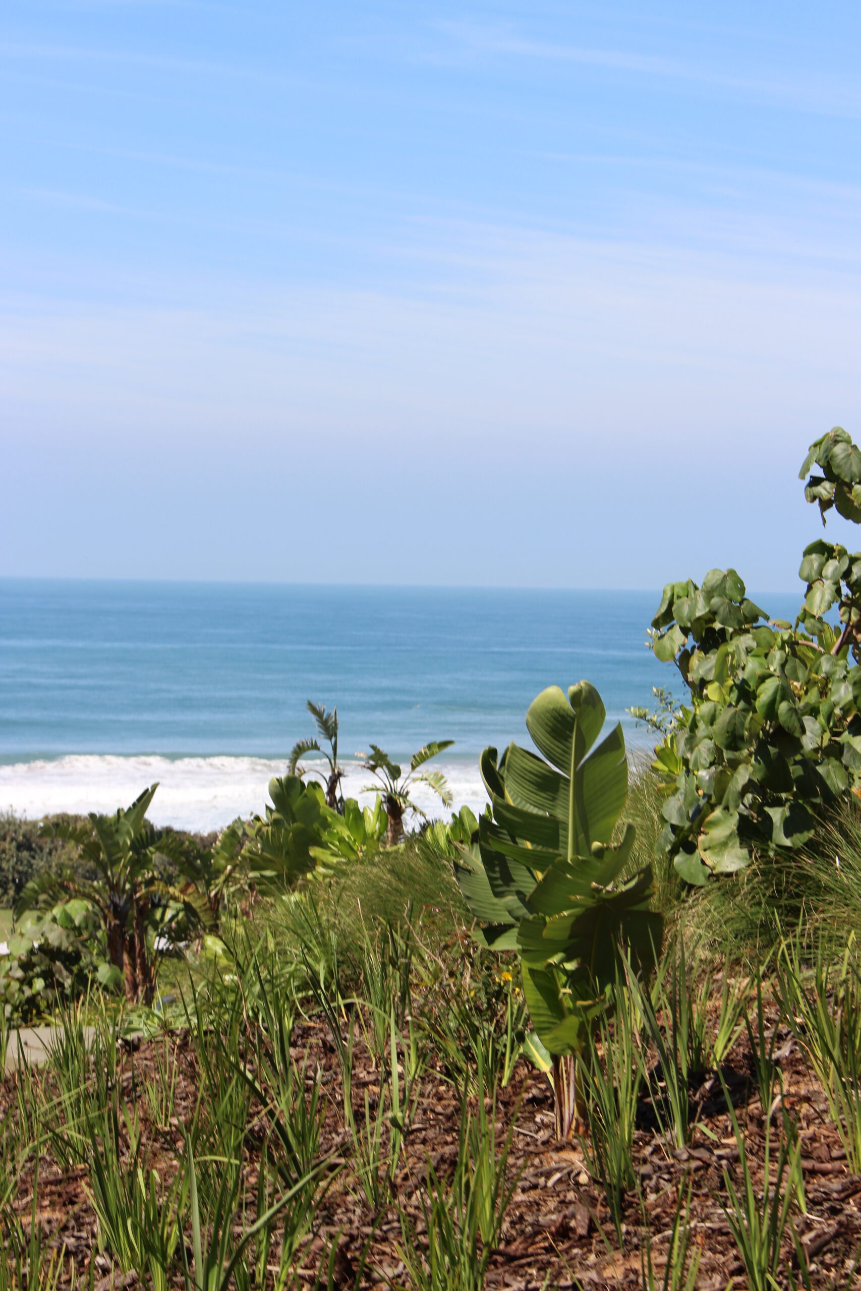 Club Med South Africa Beach & Safari