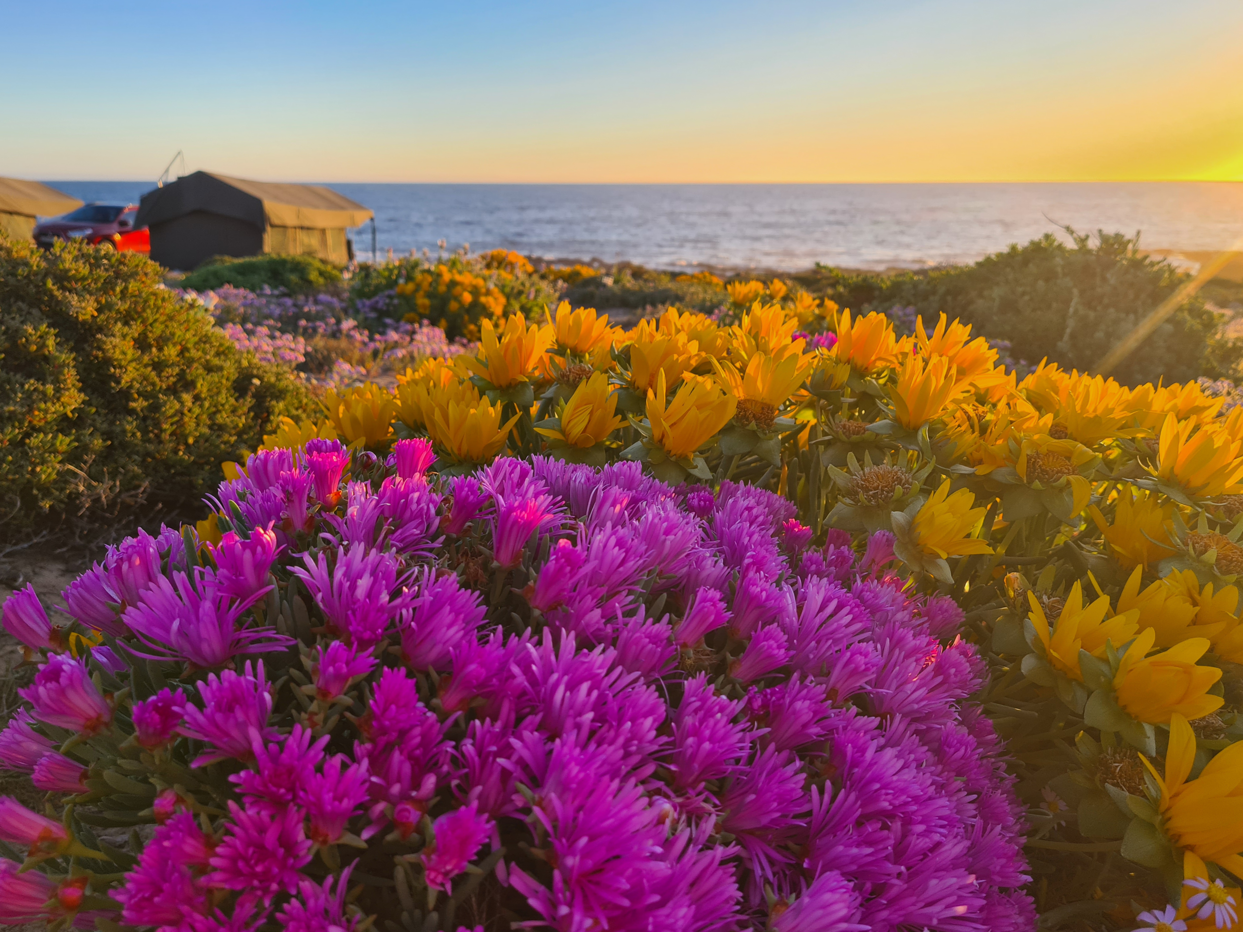 Luxury safari camp South Africa
