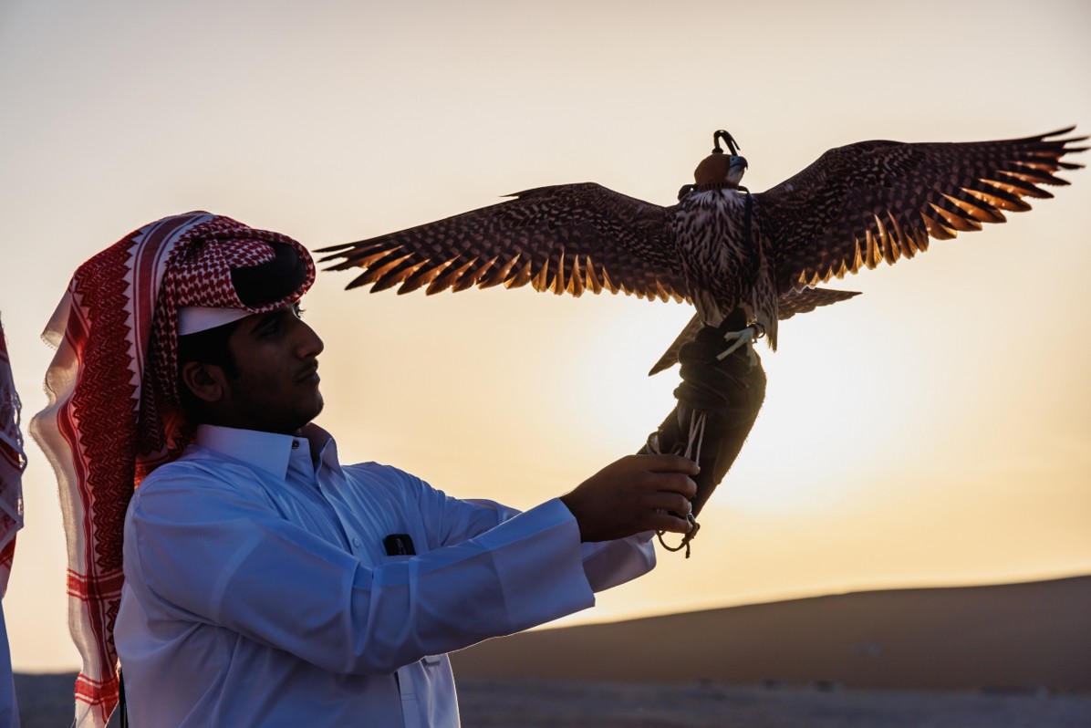 Outdoor adventures in Qatar