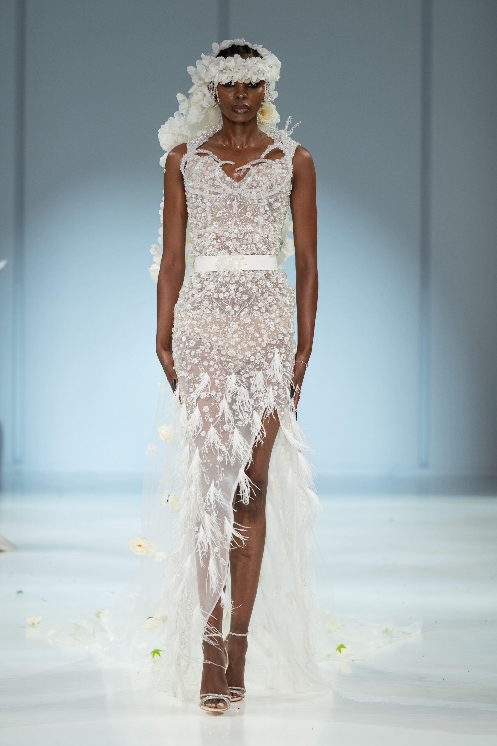 Gert-Johan Coetzee Reflections Collection 2027
