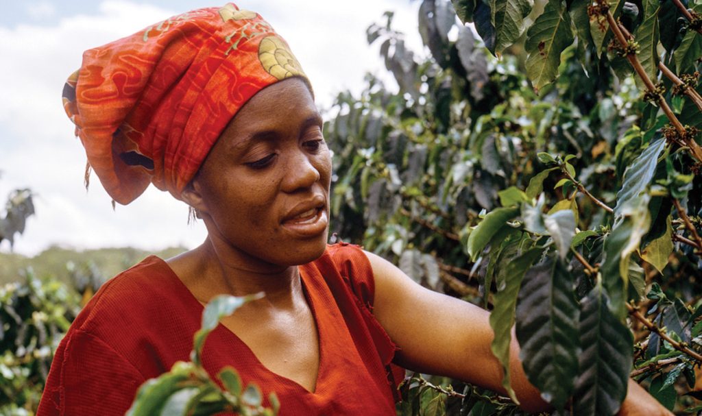 Nespresso is Reviving Origins
