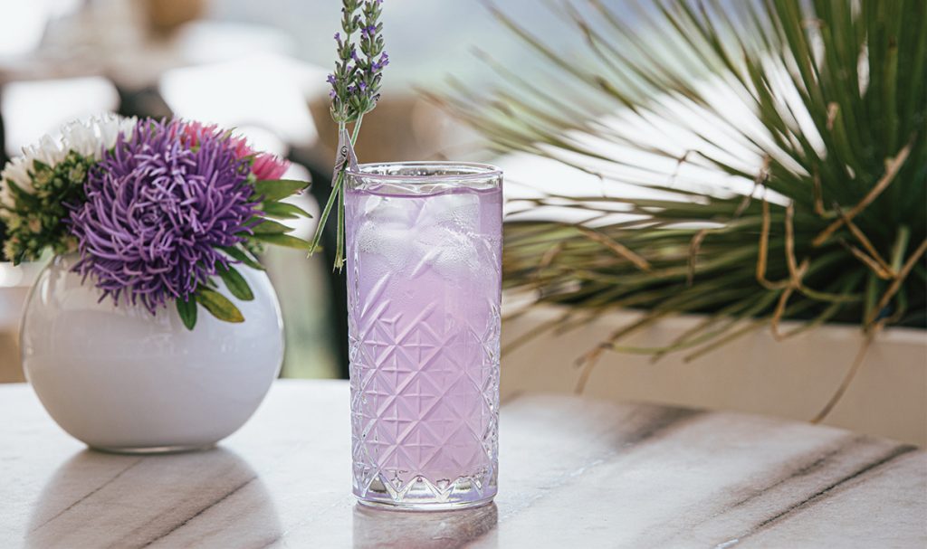 Lazy Days in the Purple Blaze
