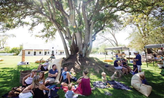 A day out at Spier Wine Farm – in Gauteng!