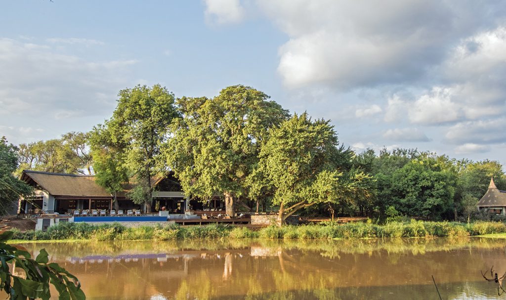 Introducing Abelana Game Reserve – Limpopo’s Newest Safari Destination