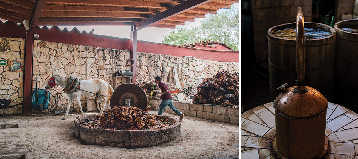 The-production-of-Mezcal