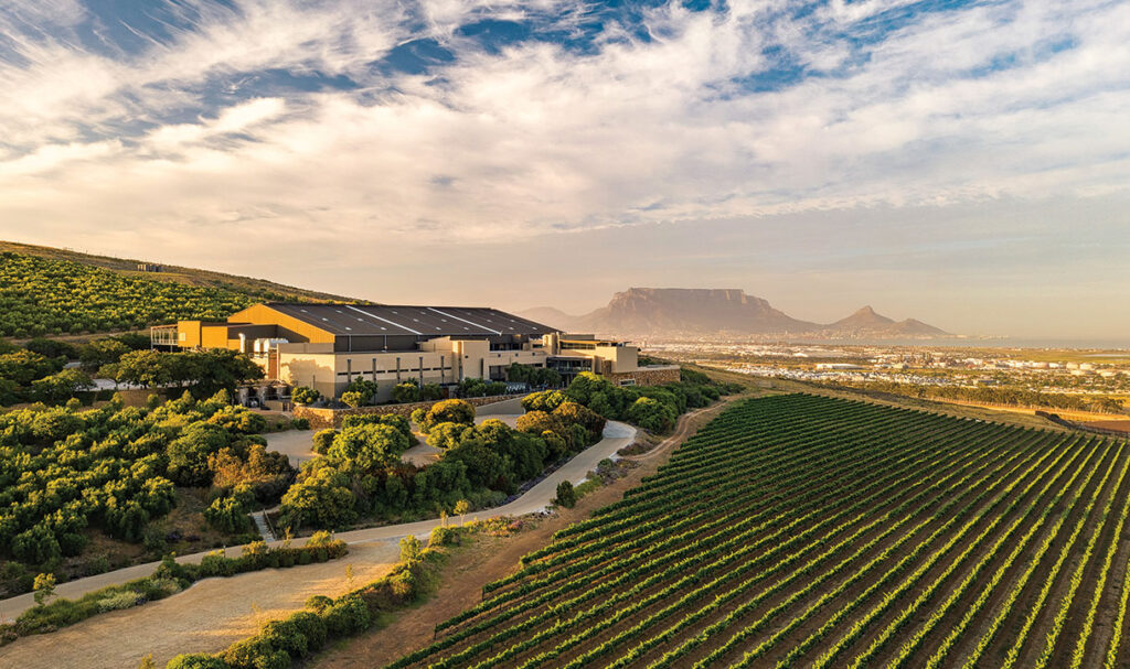 WORLD TOP 12 SAUVIGNON BLANC ACCOLADE FOR DURBANVILLE HILLS