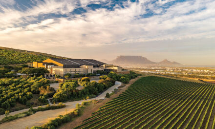 WORLD TOP 12 SAUVIGNON BLANC ACCOLADE FOR DURBANVILLE HILLS