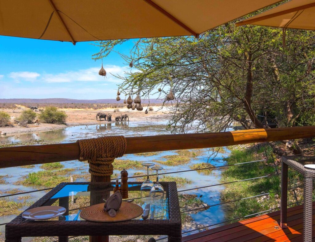Love on Safari