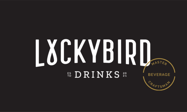 CALLING SOUTH AFRICAN ENTREPRENEURS: YOUR QUICK HACK IDEA COULD WIN QUICK-START FUNDING OF R150 000 FROM LUCKYBIRD.