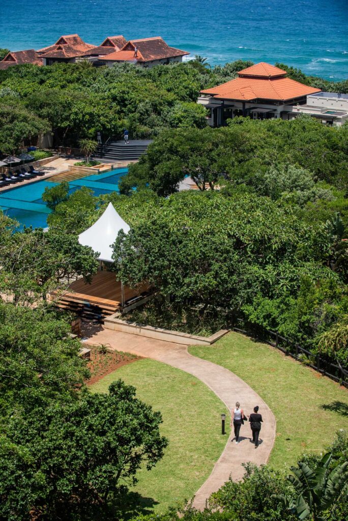 December delights: Digging up some of South Africa best hidden gems.