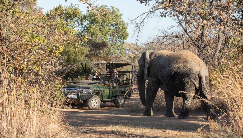 From the Desk of Bianca Emmerick: Mabula Game Lodge Review