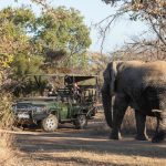 From the Desk of Bianca Emmerick:  Mabula Game Lodge Review