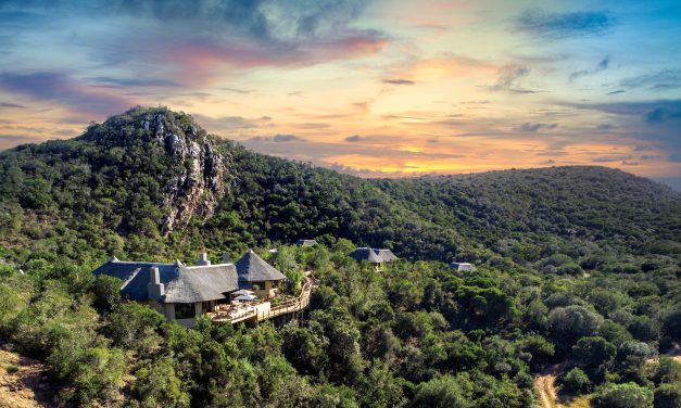 The Eastern Cape’s untapped gem: Gqeberha and its diverse offerings