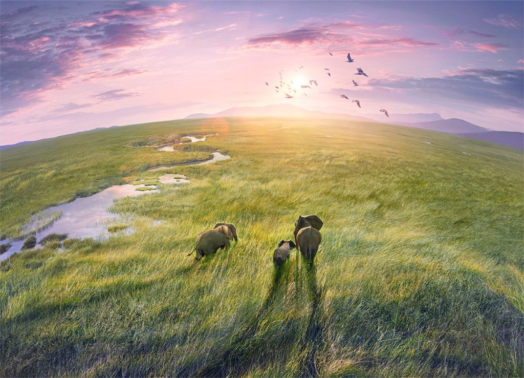 Journey into Africa’s wild heart with BBC Earth’s Landmark series, Planet Earth III