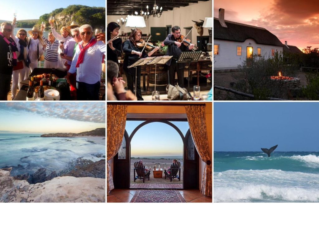 De Hoop Collection’s Wine Whales & Music Weekend 2024