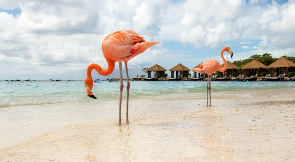 Why The ABC Islands In The Caribbean Should Be Your Next Travel Destinations