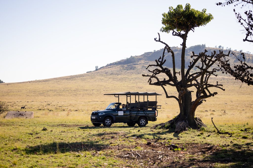 From the desk of Bianca Emmerick – Sibani Lodge