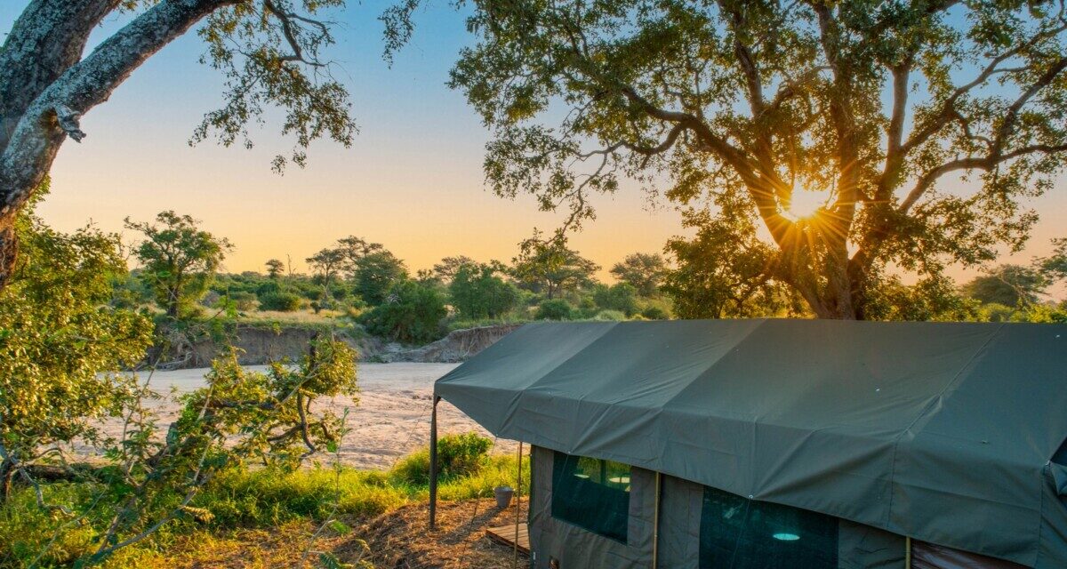 Kruger Untamed