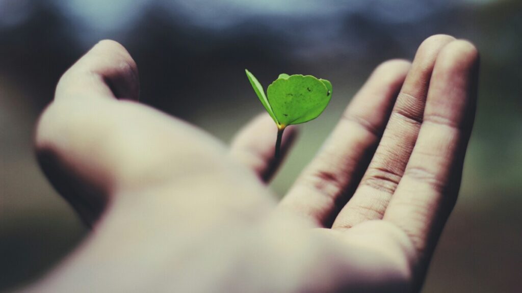 Life Insurance Should Be Part of Your 2025 Financial Resolutions