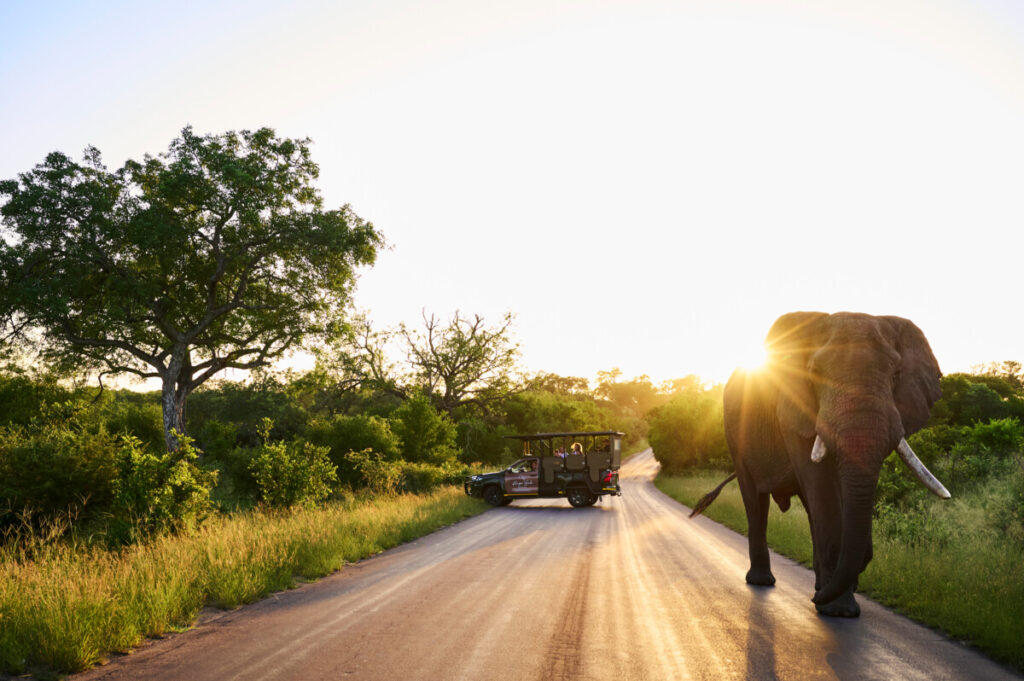 From Sightseeing to Soul-Searching: The Travel Shift You Can’t Afford to Miss
