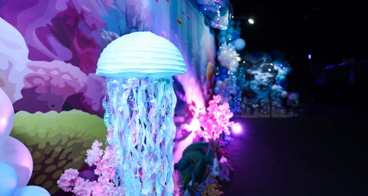 THE OCEAN IS COMING TO JOBURG THIS WEEKEND
