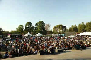 Jetour South Africa. Muldersdrift 3000 visitors