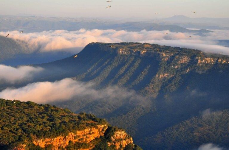 Experience an Authentic Cultural Adventure on the KZN South Coast with 6 Great Drives Out Tours
