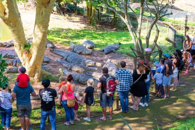 Celebrate Mother’s Day with a Delightful Lunch and Crocworld Experience