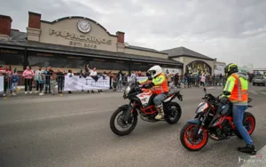 Supercar Rhino Run 2025: Convoy, raising funds for rhino conservation in South Africa.