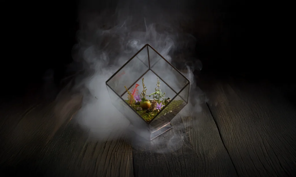 Terrarium À La Carte Menu: A Creative Take on South African Fine Dining