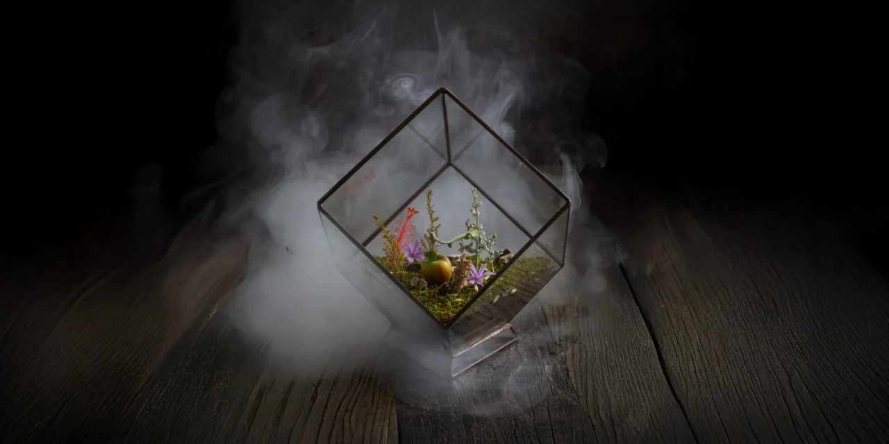 Terrarium À La Carte Menu: A Creative Take on South African Fine Dining