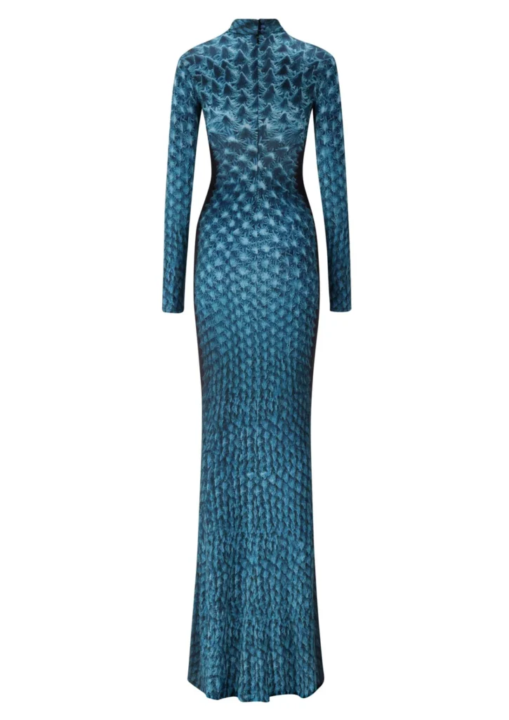 the meridian dress