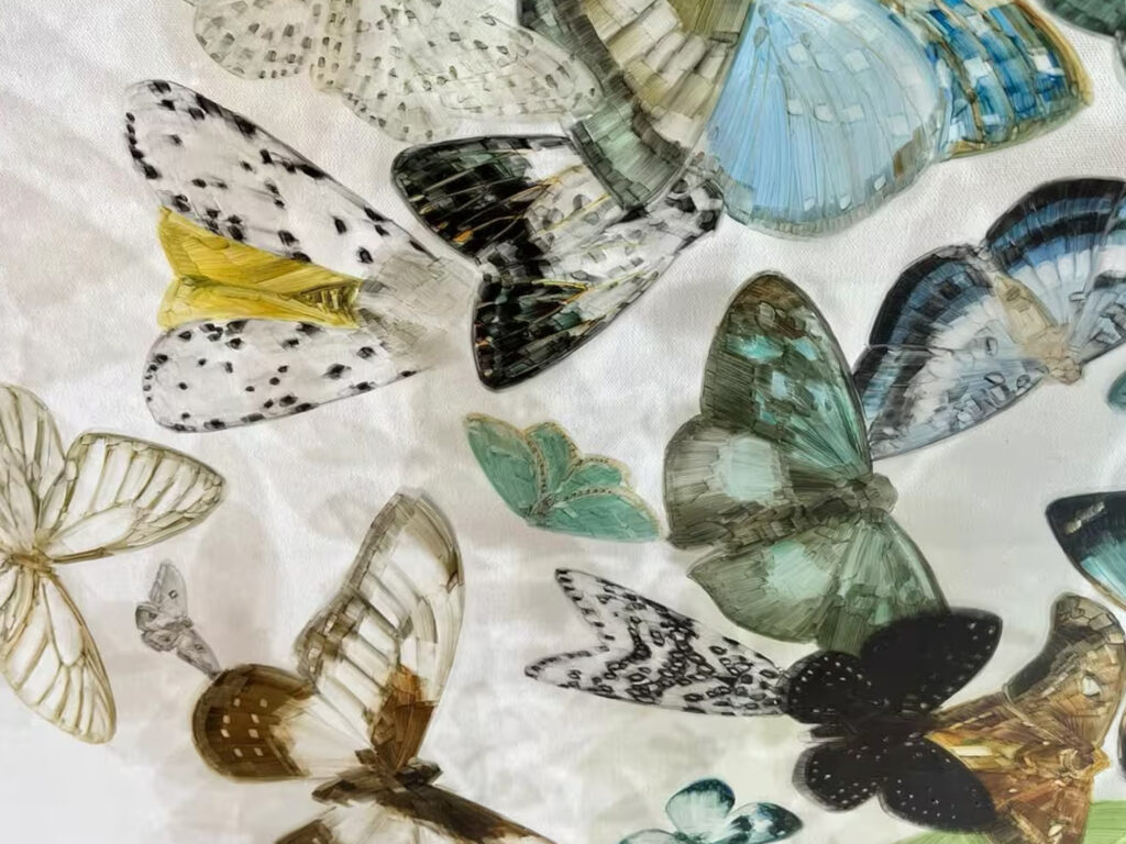 Metamorphosis: A Transformative Duo Exhibition Opens November 2025