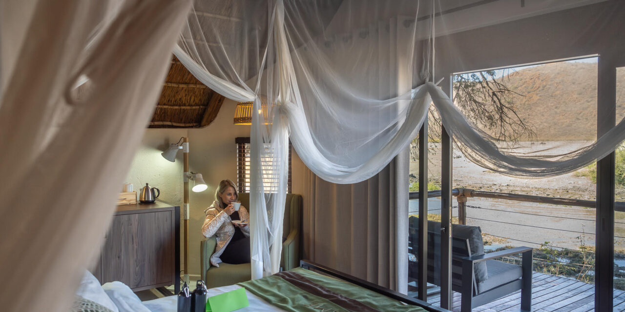 Tau Game Lodge Waterhole: The Best Front-Row Seat Safari Experience