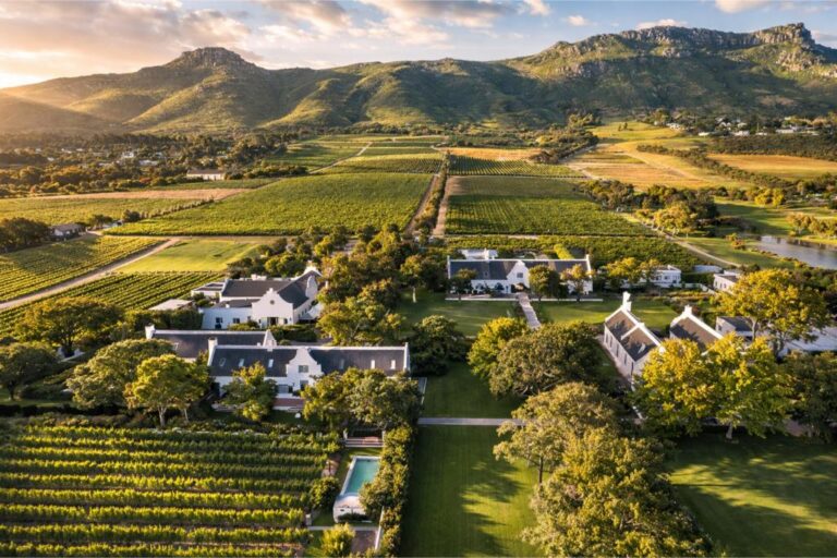 Can Wine Estates Win the High-End Traveller?