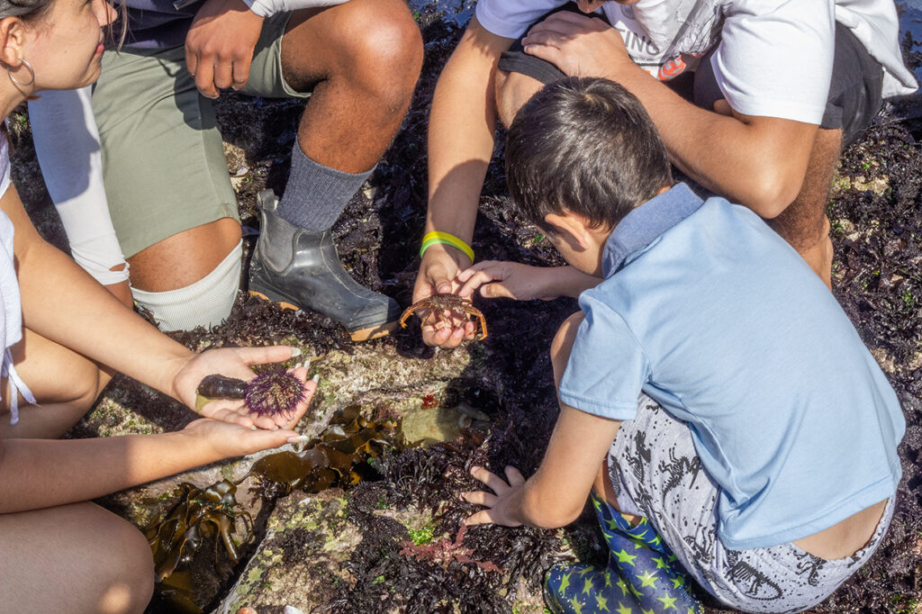 De Hoop Collection Launches New Mini Ranger Programme for Winter School Holidays 2026
