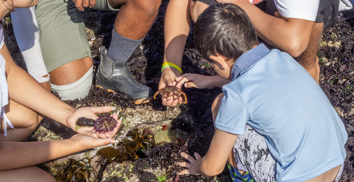De Hoop Collection Launches New Mini Ranger Programme for Winter School Holidays 2026