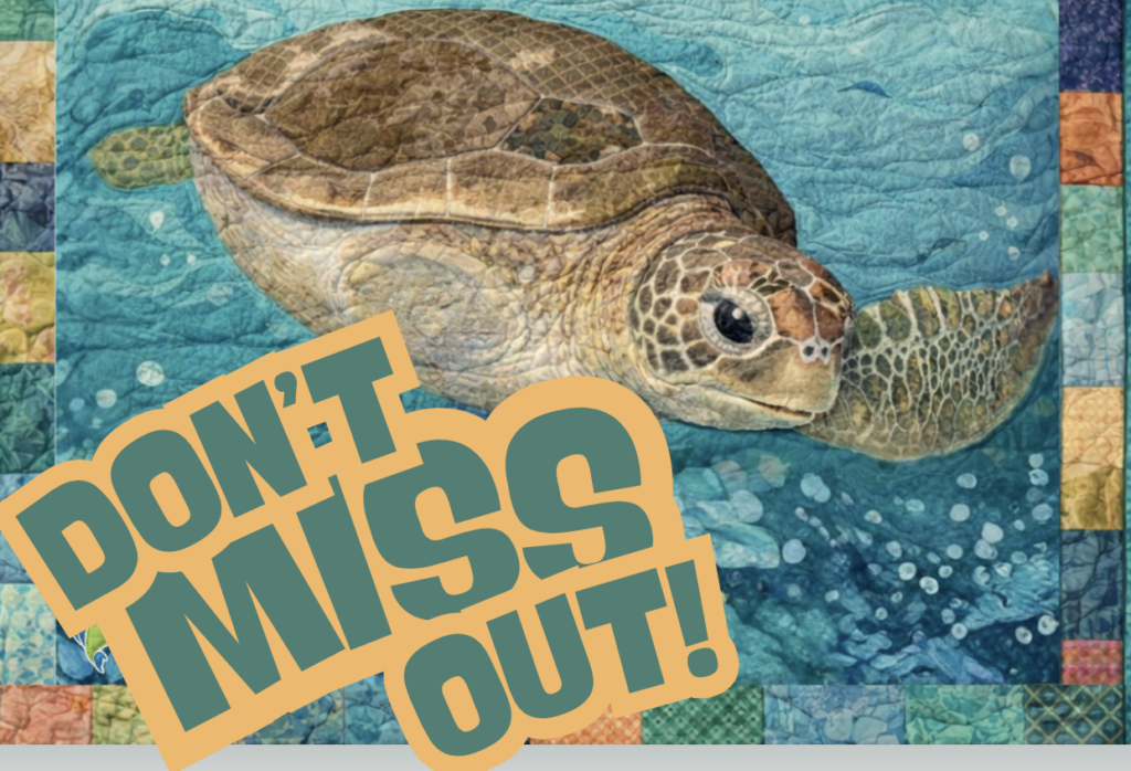 Sew Awareness National Quilt Festival 2026 Brings Global Quilting Excellence to Gqeberha
