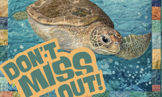 Sew Awareness National Quilt Festival 2026 Brings Global Quilting Excellence to Gqeberha