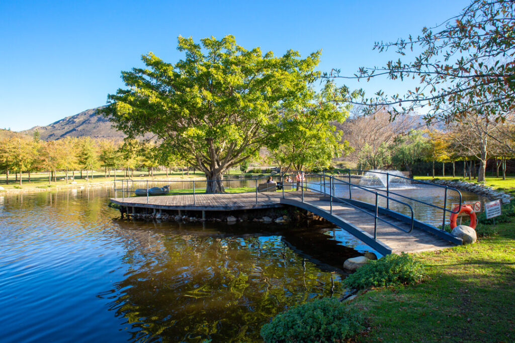 Beyond the Wine Route: Discover Franschhoek’s Hidden Craft Beer Destination