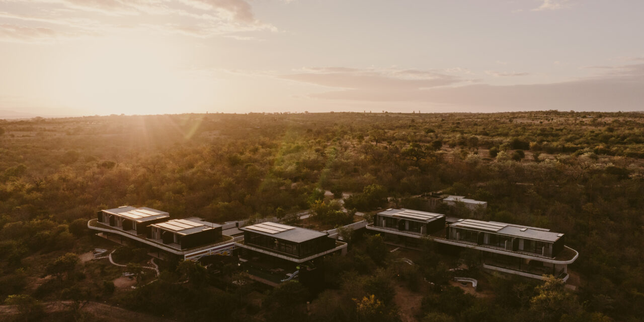 Shiviko Kruger Redefines Luxury Kosher Safaris in South Africa