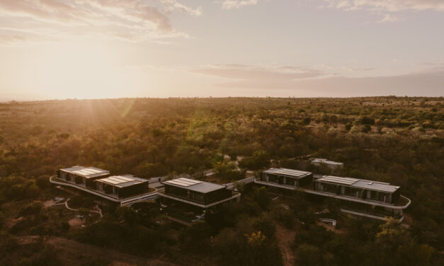 Shiviko Kruger Redefines Luxury Kosher Safaris in South Africa