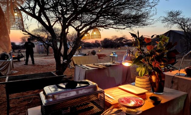 Into the Wild: How a Luxury Safari Camp Rose in the African Bushveld and Disappeared Without a Trace