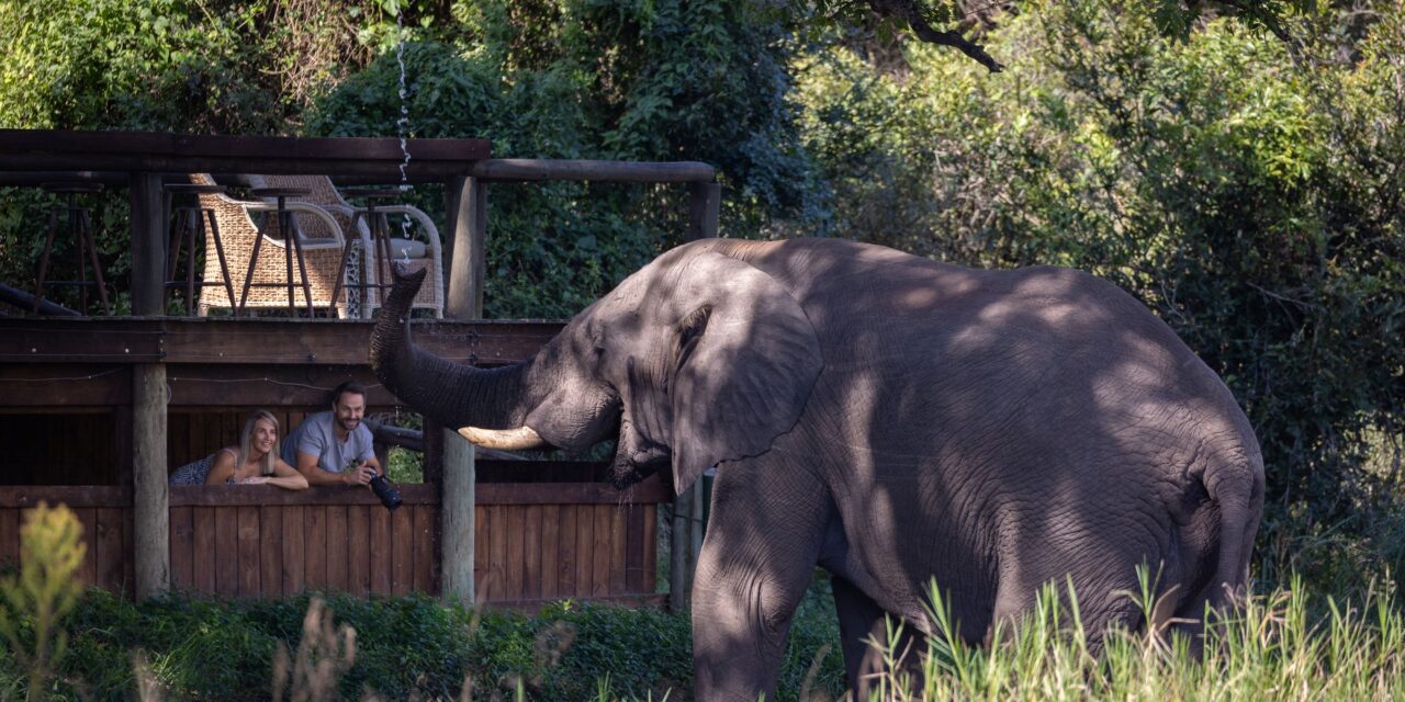 Tintswalo Safari Ranks Among South Africa’s Best Resorts in 2026 Condé Nast Traveler Awards